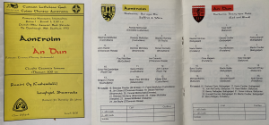 Antrim and Down teams from Division 1 of the 1993/94 National Hurling League