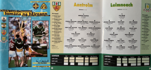 Antrim and Limerick teams from the 1994 All-Ireland semi final